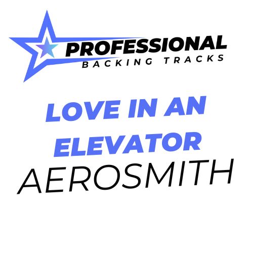 Love In An Elevator