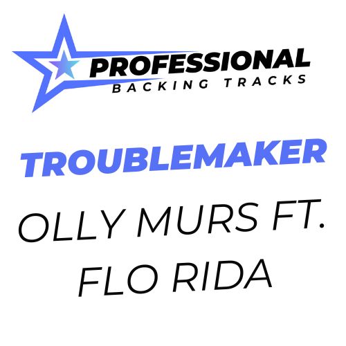 Troublemaker