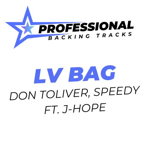 LV Bag