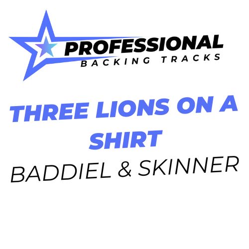 Three Lions On A Shirt