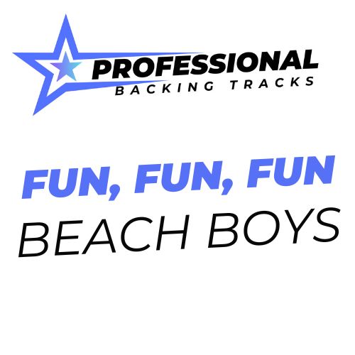 Fun, Fun, Fun