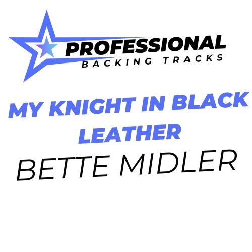 My Knight In Black Leather