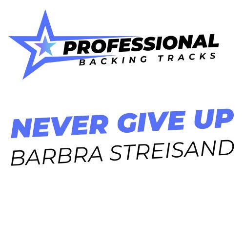 Never Give Up