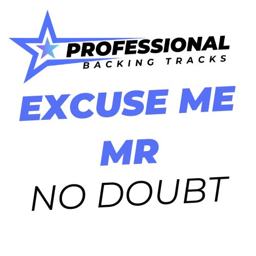 Excuse Me Mr