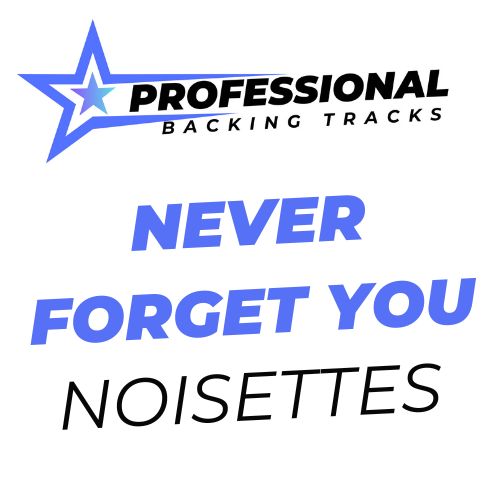 Never Forget You