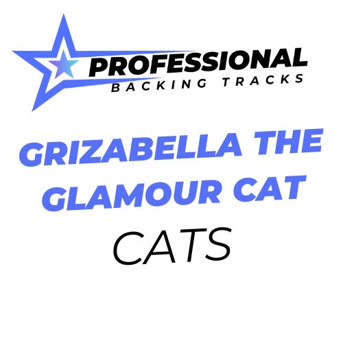 Grizabella The Glamour Cat