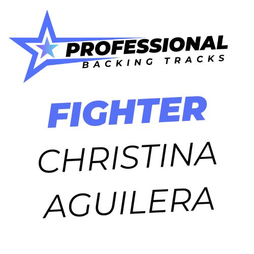 Fighter