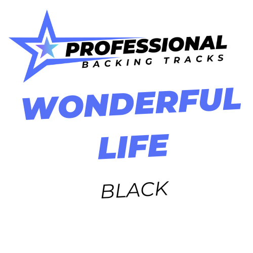 Wonderful Life