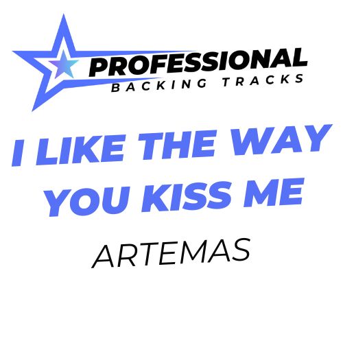 I Like The Way You Kiss Me