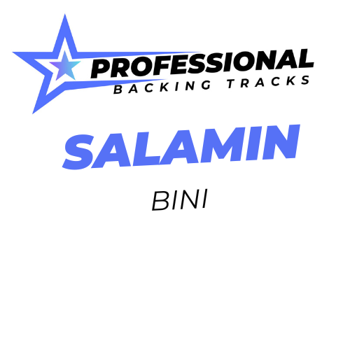 Salamin